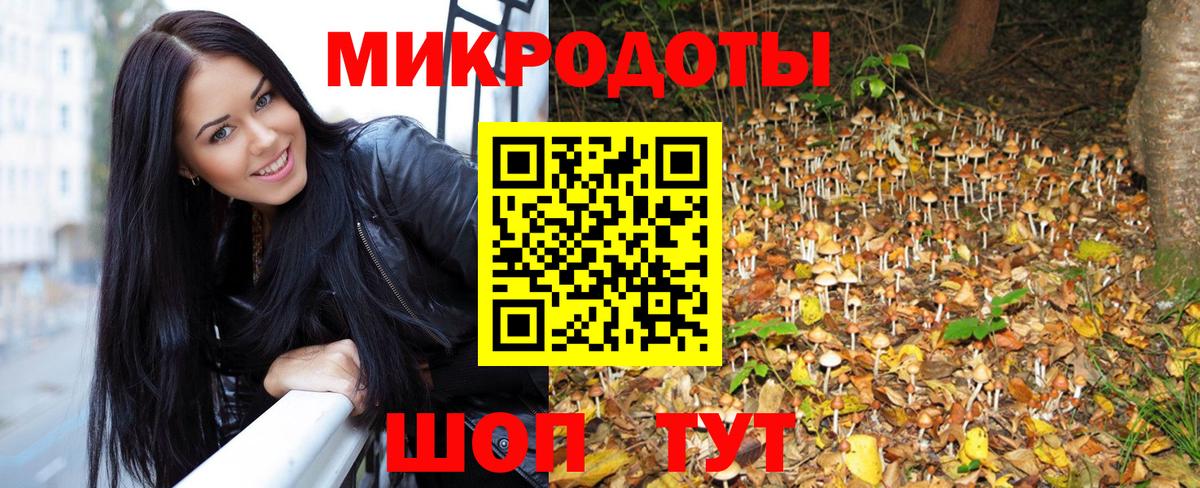 Галлюциногенные грибы прущие грибы  Вход с VPN  купить   Буйнакск 