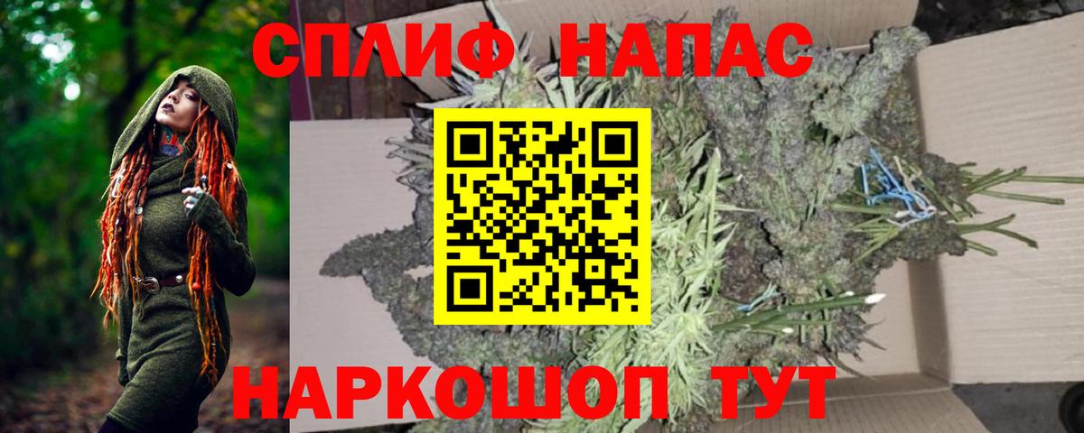 Конопля сатива  Бошки Шишки марихуана  Буйнакск  Бошки марихуана марихуана  Вход с VPN 